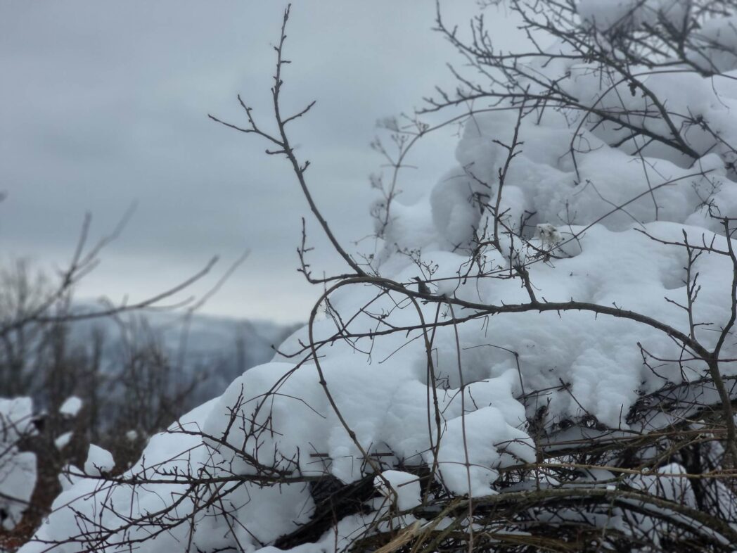 Sneg okovao sela, foto: M.M.