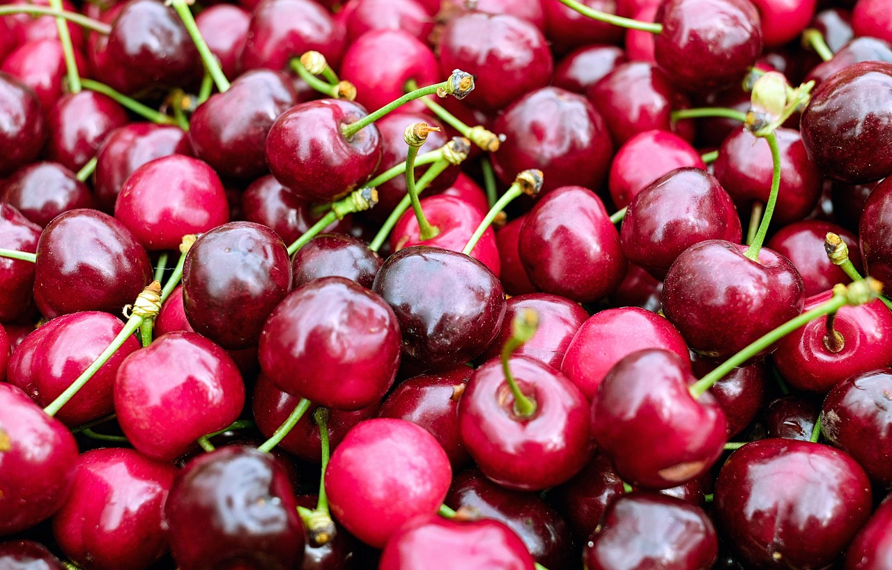 Višnja, ilustracija, foto: pixabay.com